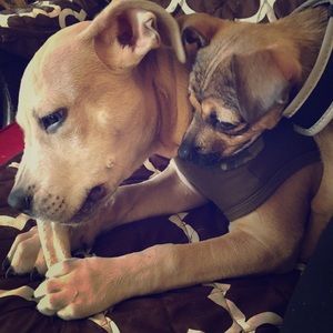 Hey mister... that bone looks tasty 😋